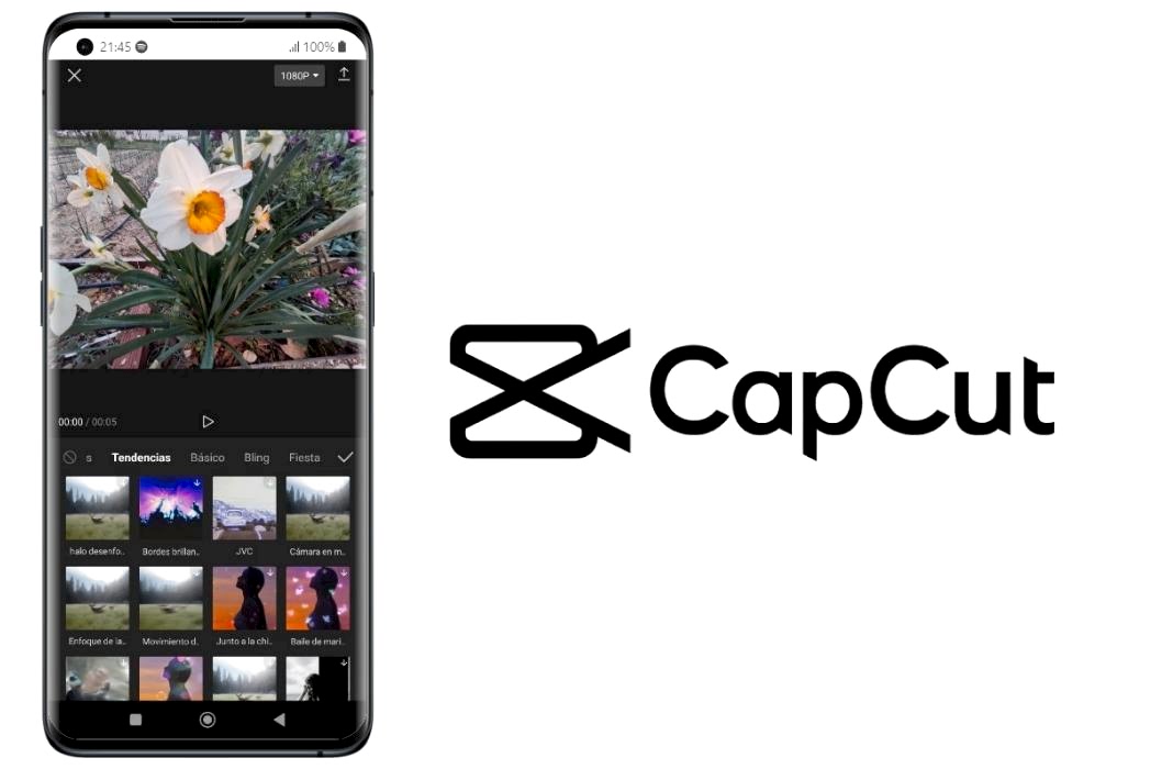 CapCut ile Video Düzenleme Ri Akademi